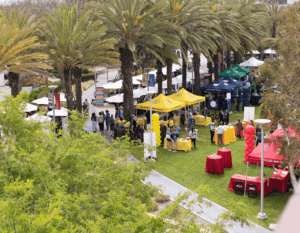 An outdoor event with colorful tents and booths set up on a grassy area under tall palm trees. People walk around and gather at the booths. Brightly colored tents include red, yellow, and blue. Paths wind through the park-like setting.