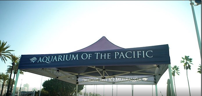 Aquarium custom canopy